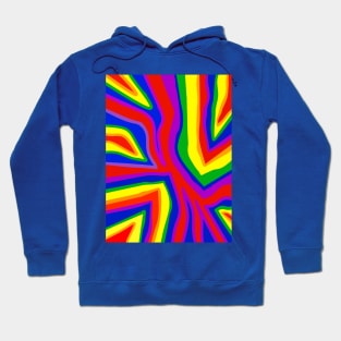 Pride Zebra Hoodie